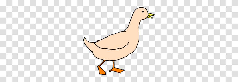 Duck Birds Clipart Explore Pictures, Animal, Person, Human, Waterfowl Transparent Png