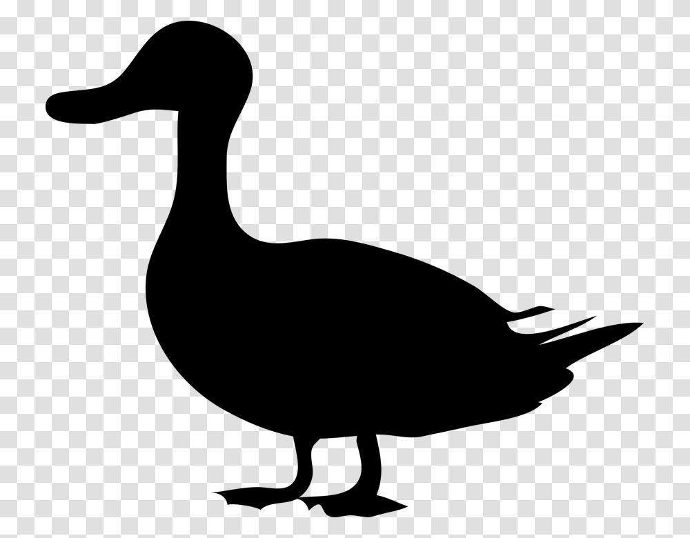 Duck Black And White Duck Black And White, Gray, World Of Warcraft Transparent Png