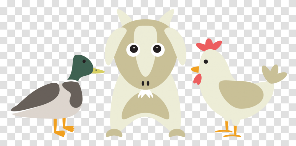 Duck Chicken Feed Website Icon Duck And Chicken Icon, Bird, Animal, Mammal, Sheep Transparent Png