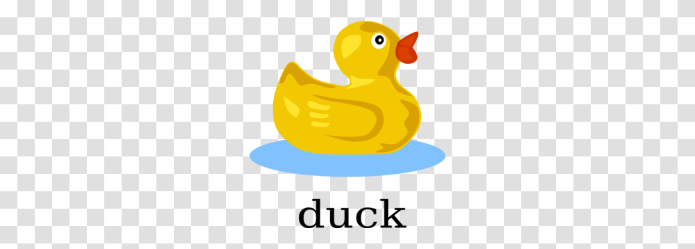 Duck Clip Art, Animal, Bird, Fowl Transparent Png