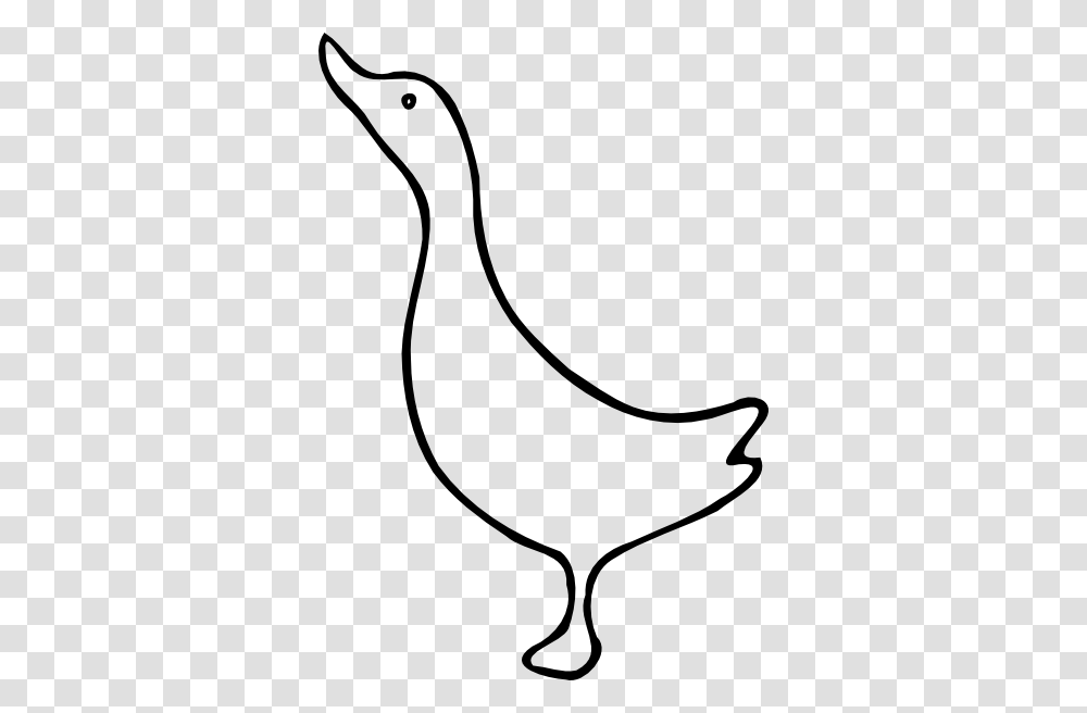 Duck Clip Art, Bird, Animal, Goose, Fowl Transparent Png