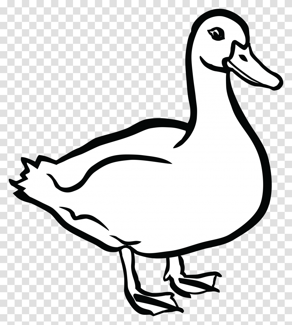 Duck Clip Art, Bird, Animal, Goose Transparent Png