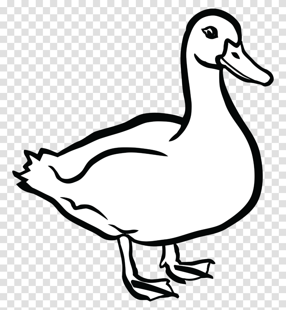 Duck Clip Art, Bird, Animal, Goose Transparent Png