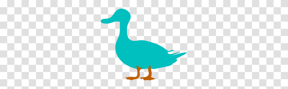 Duck Clip Art, Bird, Animal, Person, Human Transparent Png