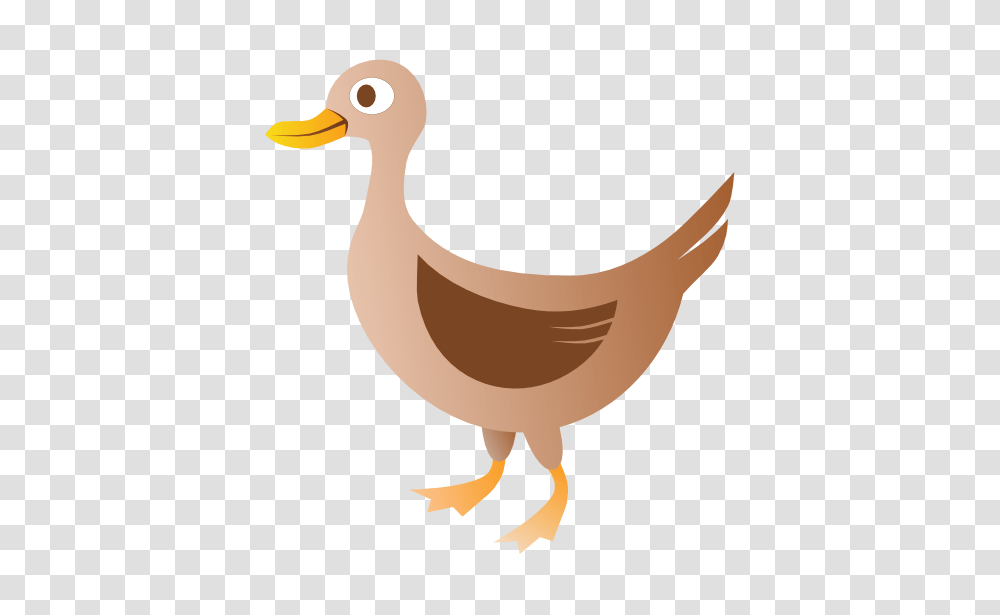 Duck Clip Art, Bird, Animal, Waterfowl, Beak Transparent Png