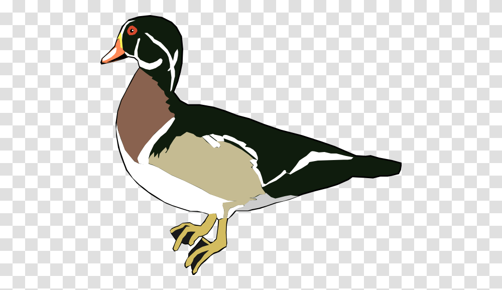 Duck Clip Arts Download, Bird, Animal, Waterfowl, Goose Transparent Png