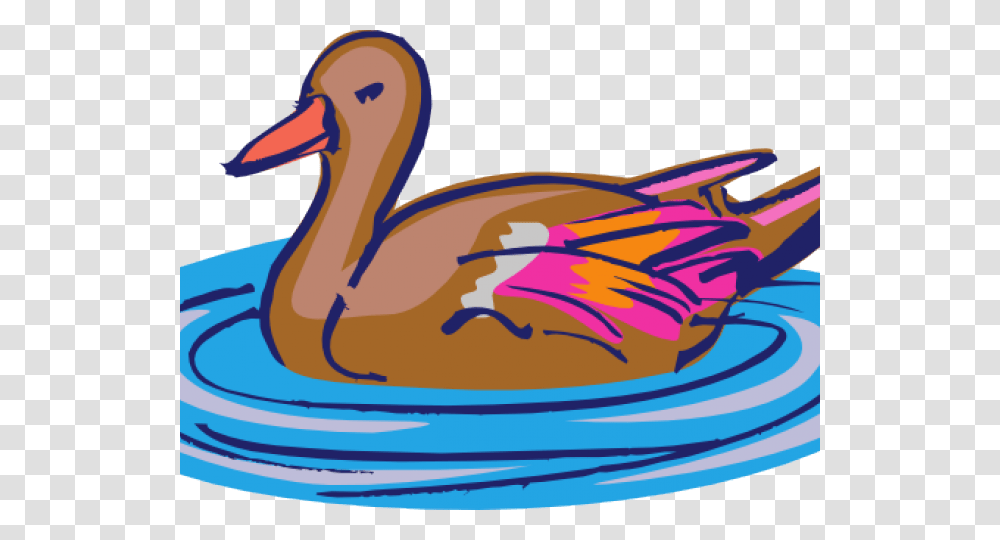 Duck Clipart, Animal, Bird, Beak, Waterfowl Transparent Png