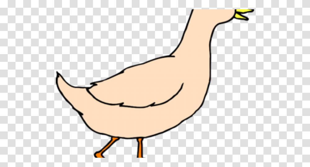 Duck Clipart, Bird, Animal, Person, Human Transparent Png