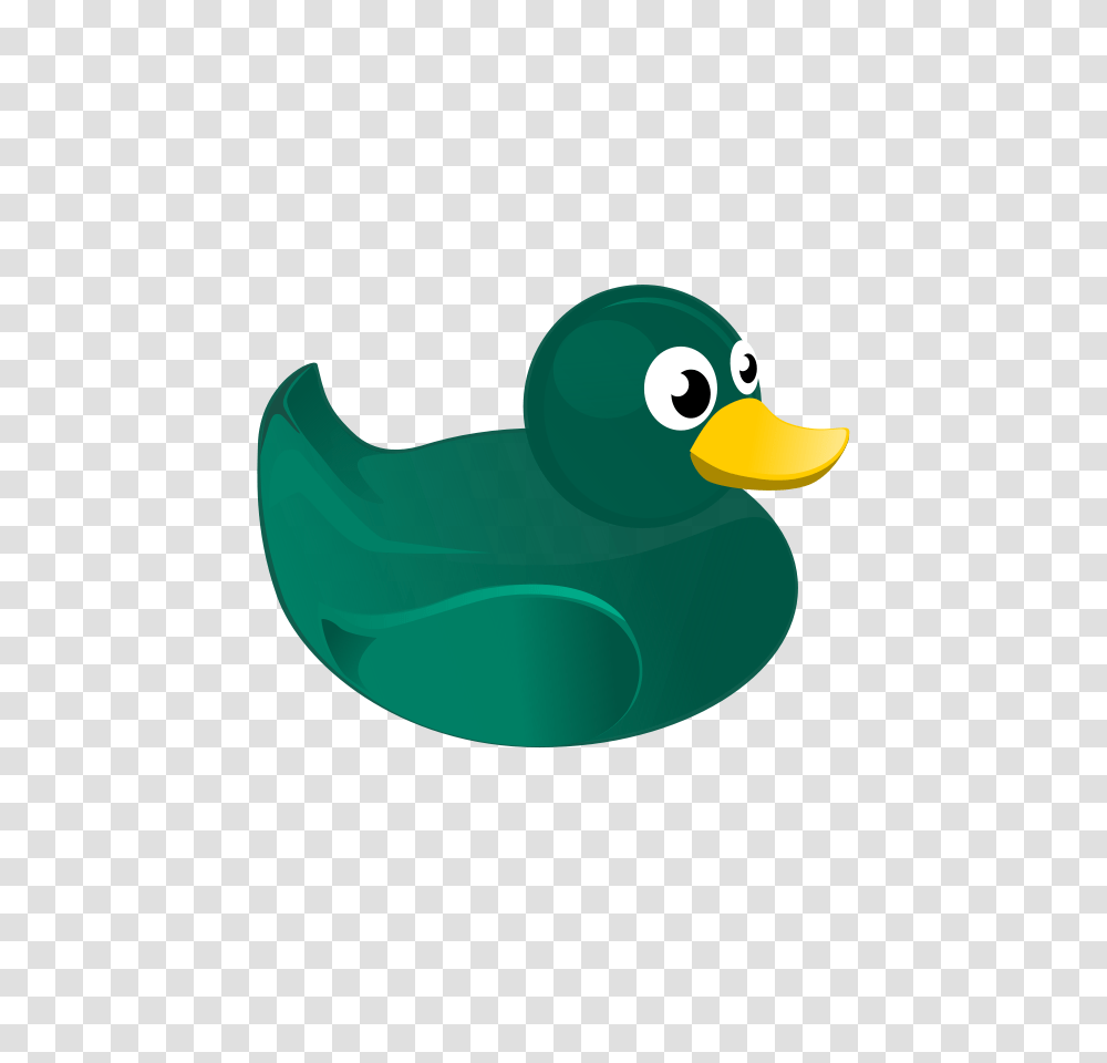 Duck Clipart, Bird, Animal, Waterfowl, Beak Transparent Png