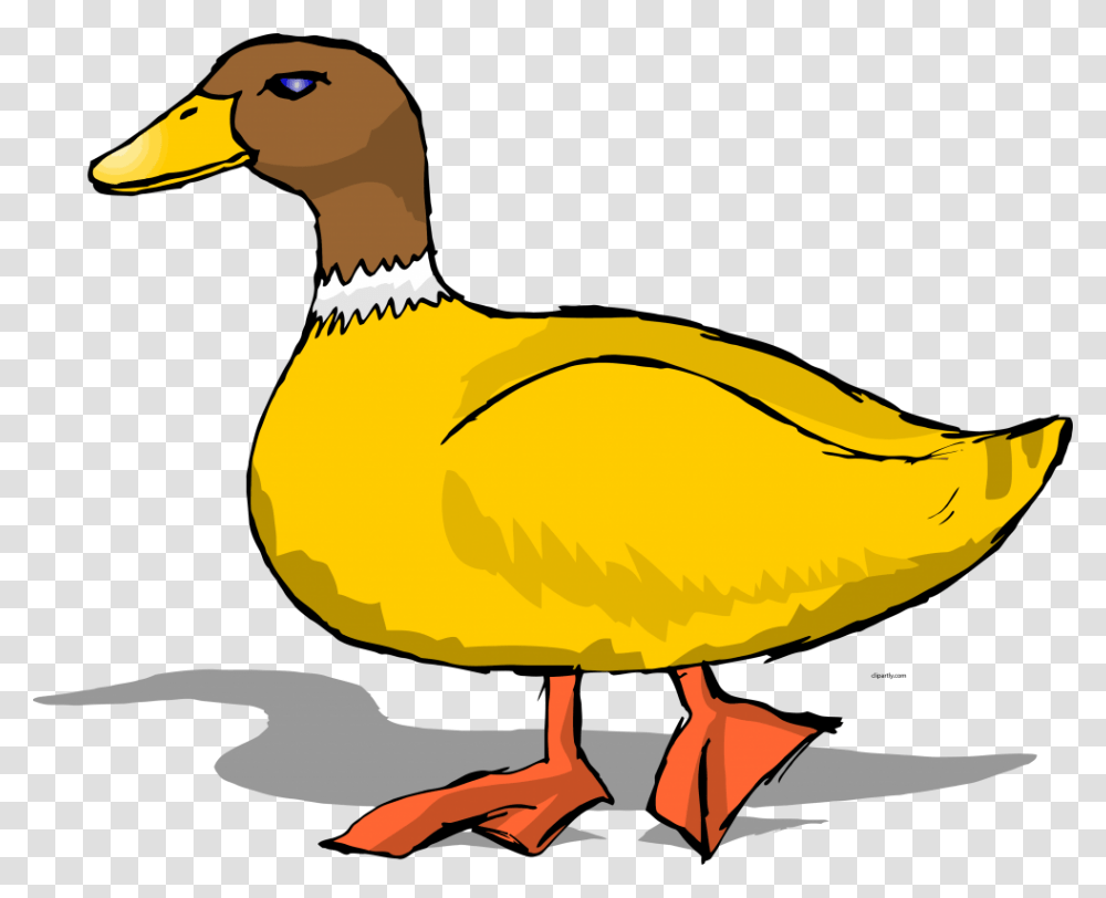 Duck Clipart, Bird, Animal, Waterfowl, Goose Transparent Png