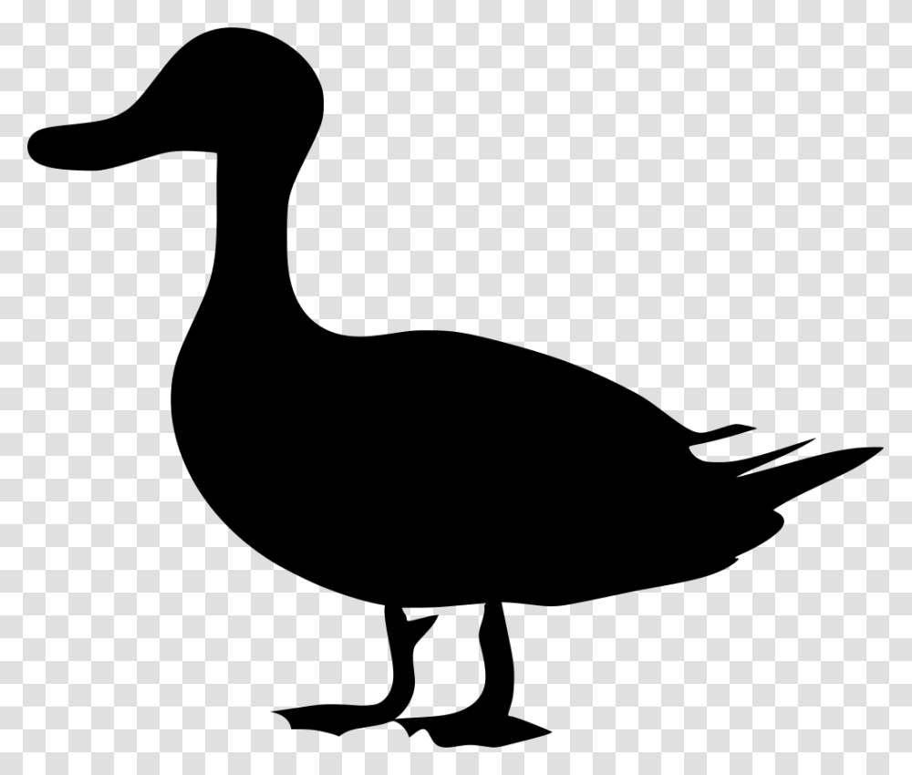 Duck Clipart Black, Gray, World Of Warcraft Transparent Png