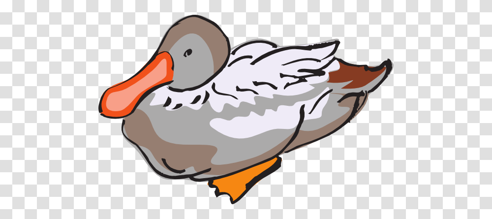 Duck Clipart Brown, Bird, Animal, Goose, Anseriformes Transparent Png