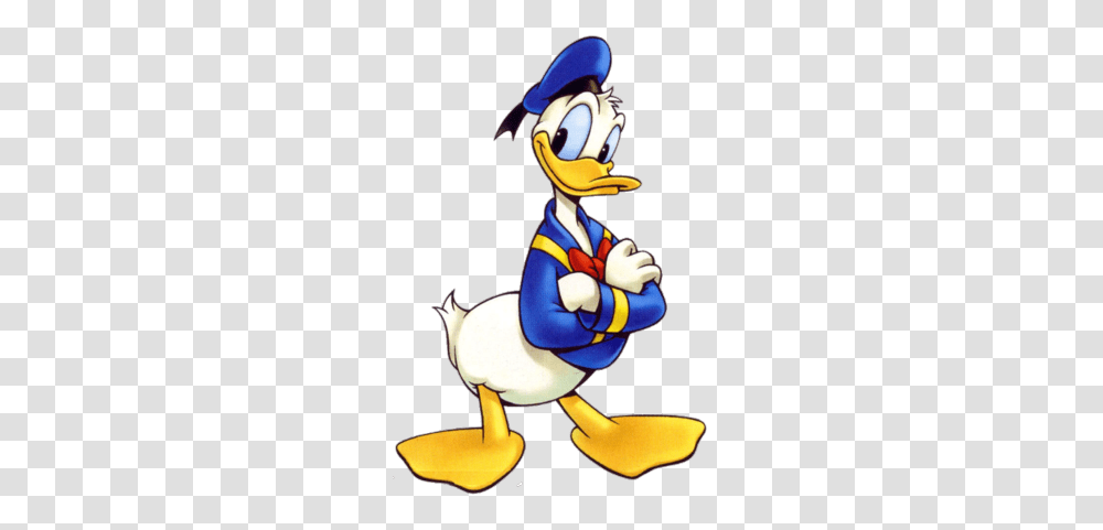 Duck Clipart Crossing, Animal, Waterfowl, Bird, Person Transparent Png