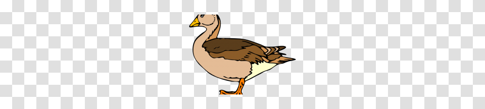 Duck Clipart Free Cute Duck Clip Art Duckling Clipart Royalty Free, Animal, Bird, Dodo Transparent Png