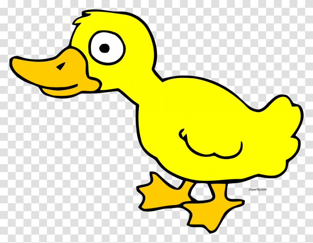 Duck Clipart Gif, Bird, Animal, Poultry, Fowl Transparent Png