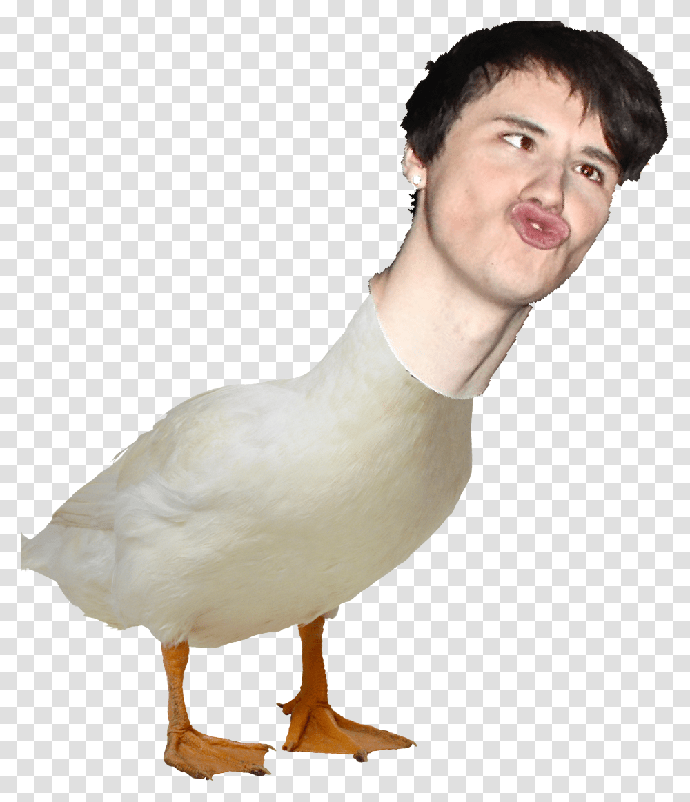 Duck Clipart, Person, Human, Bird, Animal Transparent Png