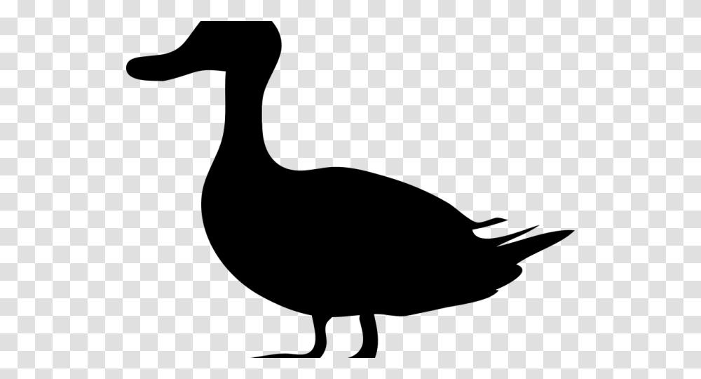 Duck Clipart Pond Clipart, Gray, World Of Warcraft Transparent Png