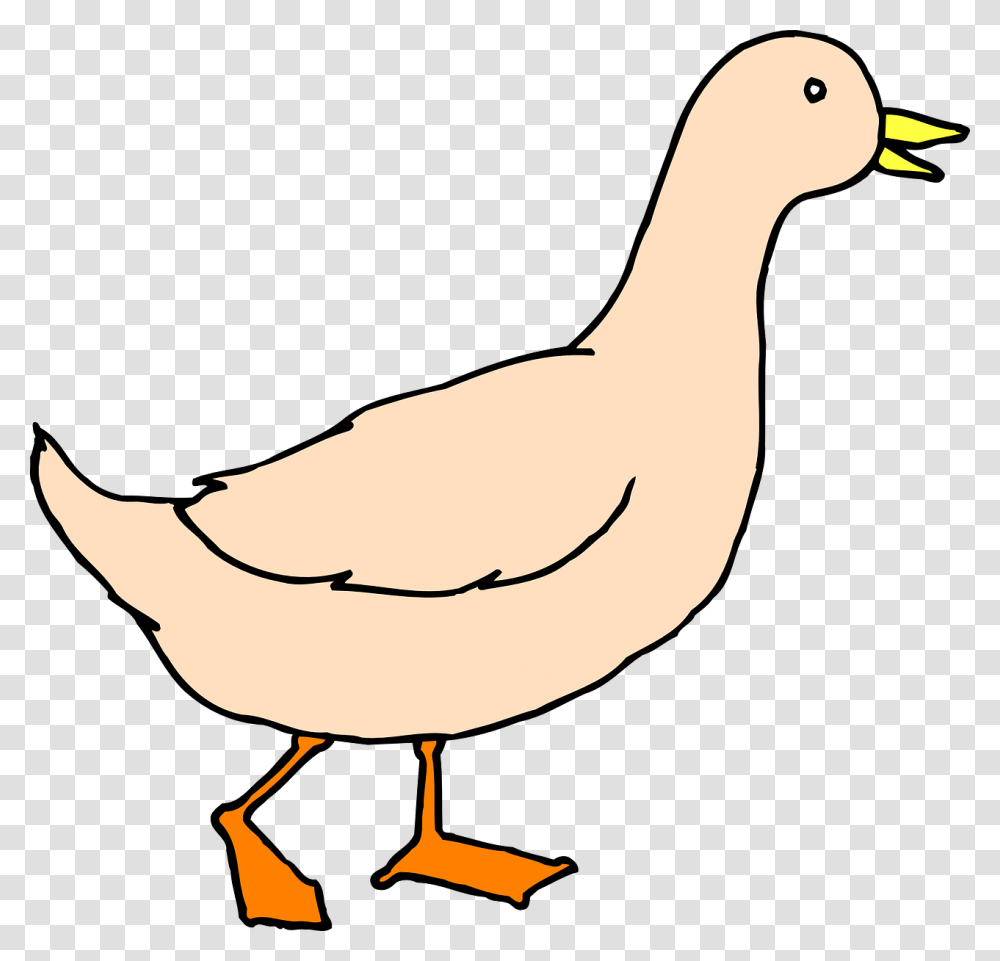 Duck Clipart Walking Duck Clipart, Bird, Animal, Waterfowl, Beak Transparent Png