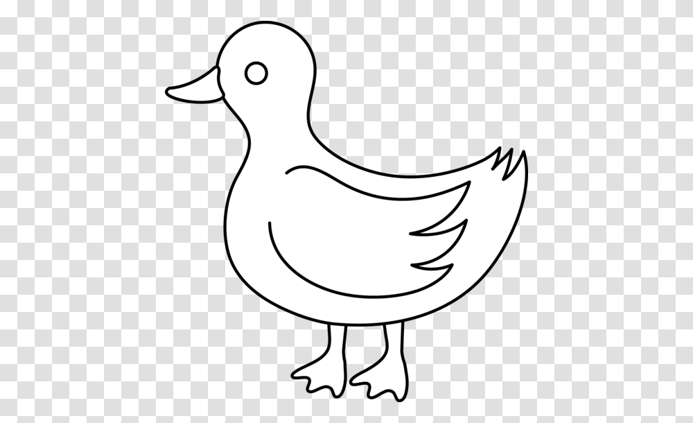 Duck Cliparts, Bird, Animal, Goose Transparent Png