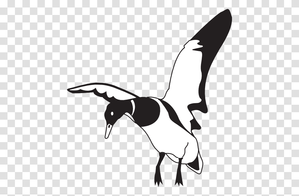 Duck Commander Logo Clipart, Bird, Animal, Flying, Dog Transparent Png