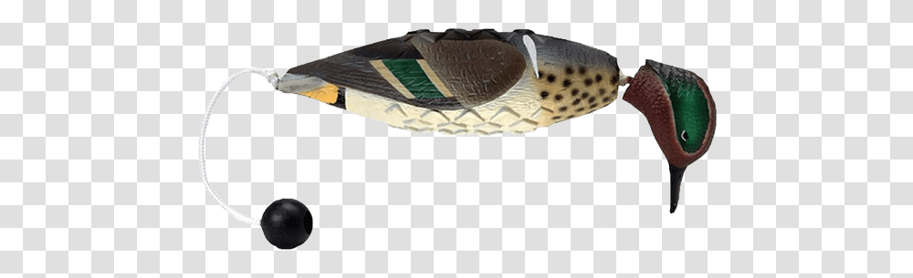 Duck Dog Training Bumper, Apparel, Footwear, Shoe Transparent Png