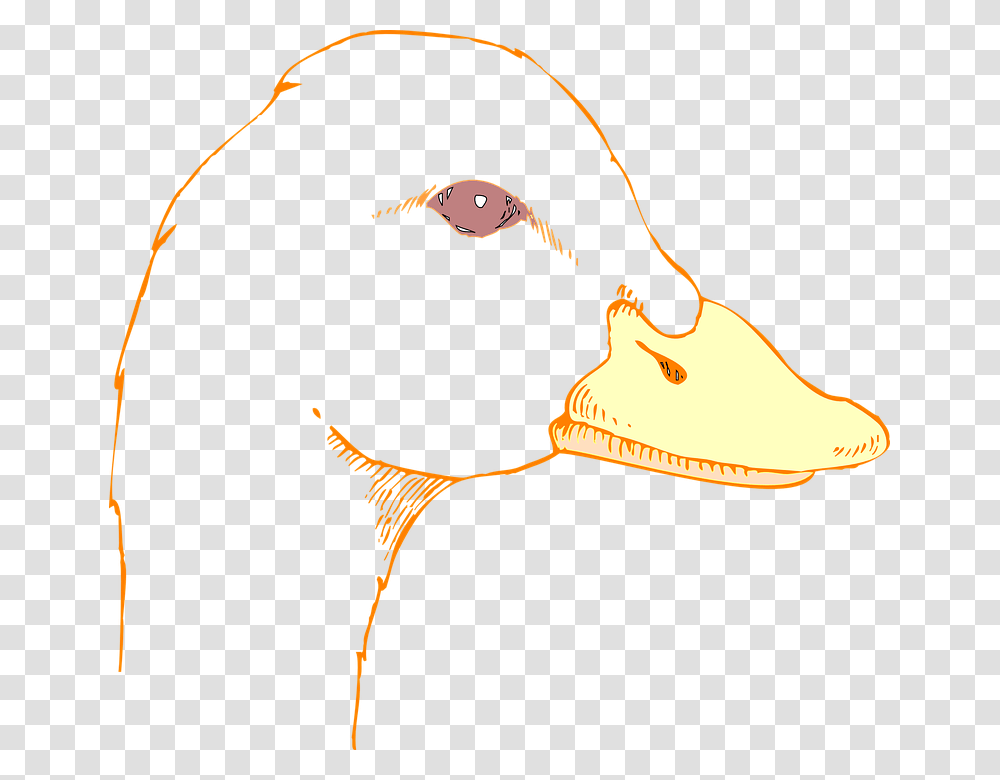 Duck Face Drawing Of A Duck Head, Waterfowl, Bird, Animal, Beak Transparent Png