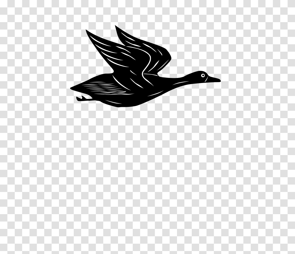 Duck Flying, Animals, Outdoors, Nature Transparent Png