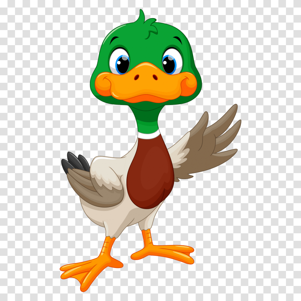 Duck Goose Clip Art, Bird, Animal, Beak Transparent Png