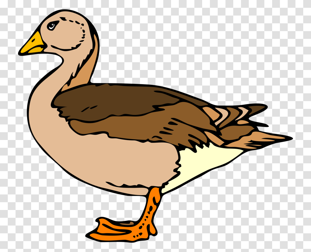 Duck Goose Download, Bird, Animal, Waterfowl, Anseriformes Transparent Png