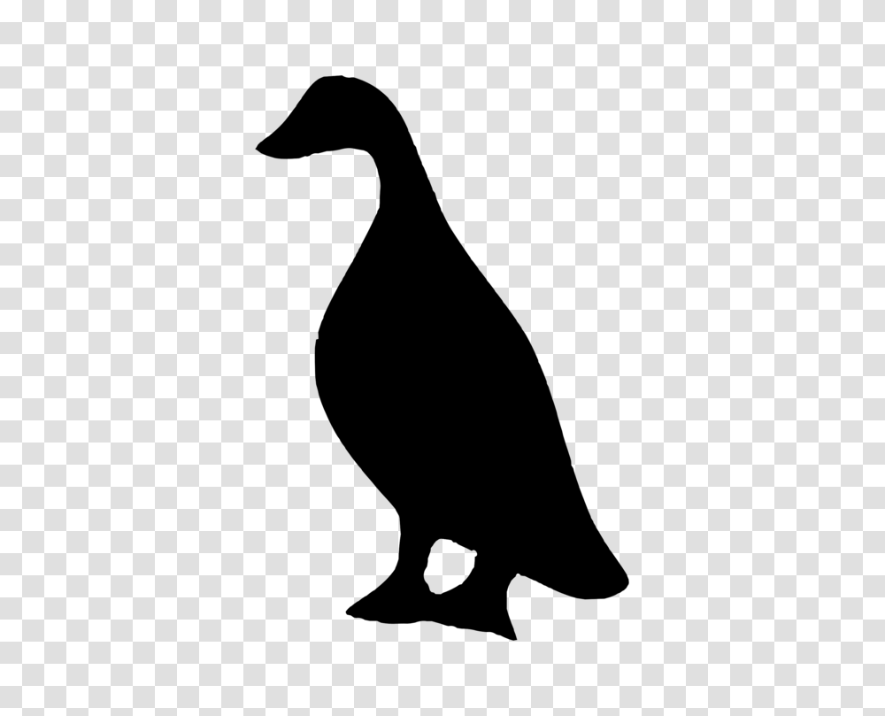 Duck Goose Silhouette Drawing Stencil, Gray, World Of Warcraft Transparent Png