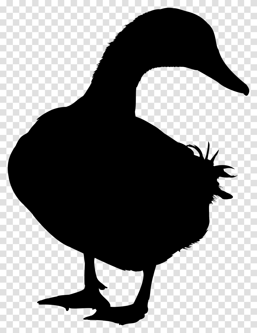 Duck Goose Silhouette Vector Graphics Image Gambar Bebek Animasi Hitam Putih Vector, Gray, World Of Warcraft Transparent Png