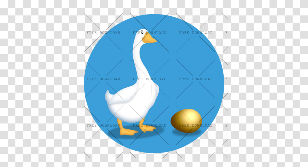 Duck Goose Swan Bird Image With Background, Animal, Waterfowl, Poultry, Turkey Bird Transparent Png