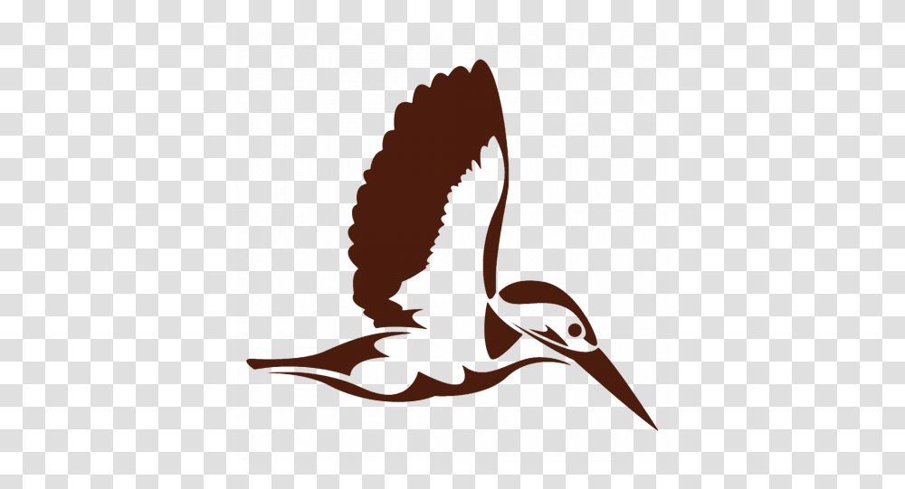 Duck Goose Swan Bird Image With Background Flying Kingfisher Silhouette, Animal, Penguin Transparent Png