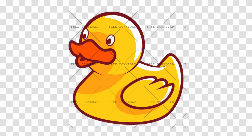 Duck Goose Swan Bird Image With Background Infant, Animal, Text, Label Transparent Png