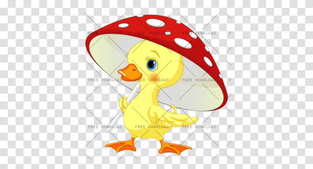 Duck Goose Swan Bird Image With Background Rain Duck, Clothing, Apparel, Animal, Poultry Transparent Png
