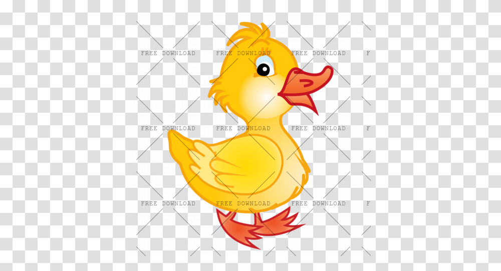 Duck Goose Swan Bird Image With Background Rubber Ducky, Animal, Poultry, Fowl, Chicken Transparent Png