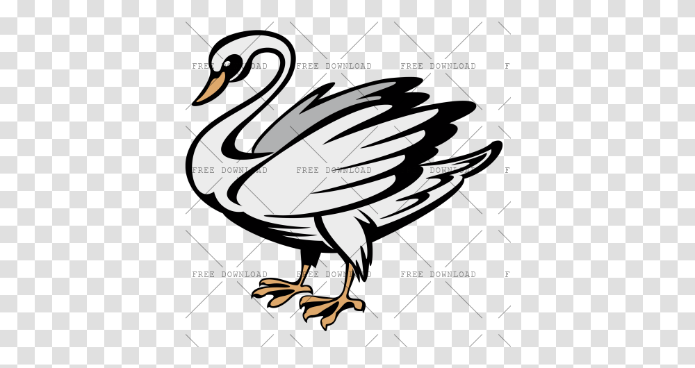 Duck Goose Swan Bird Image With Duck, Animal, Waterfowl, Anseriformes Transparent Png