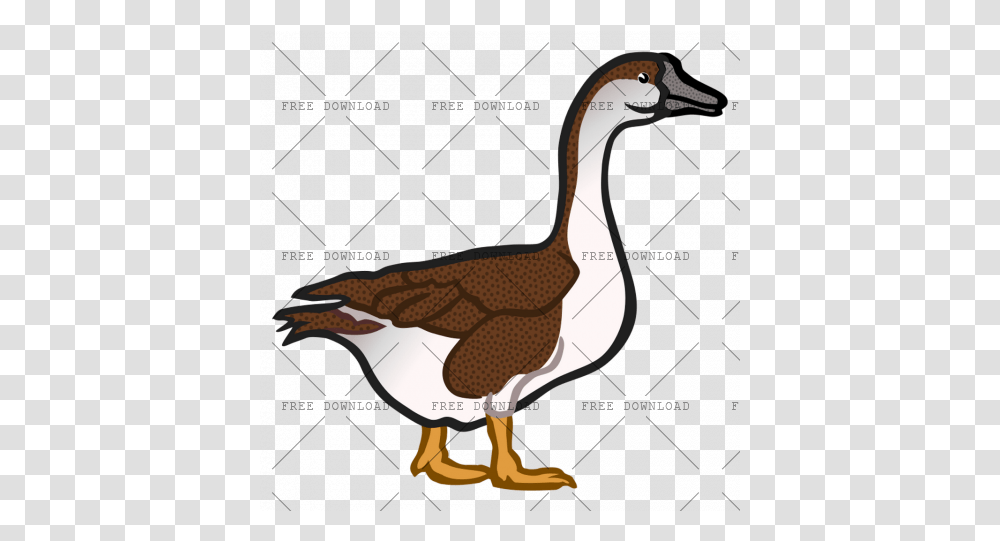 Duck Goose Swan Bird Image With Goose Clip Art, Animal, Waterfowl Transparent Png