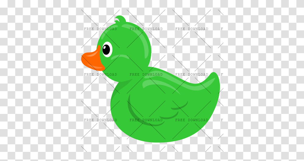 Duck Goose Swan Bird Image With Green Rubber Duck Clipart, Animal, Reptile, Snail, Invertebrate Transparent Png