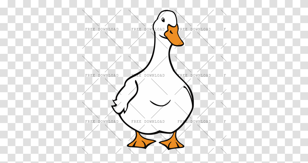 Duck Goose Swan Bird Image With Pekin Duck Drawing, Animal Transparent Png