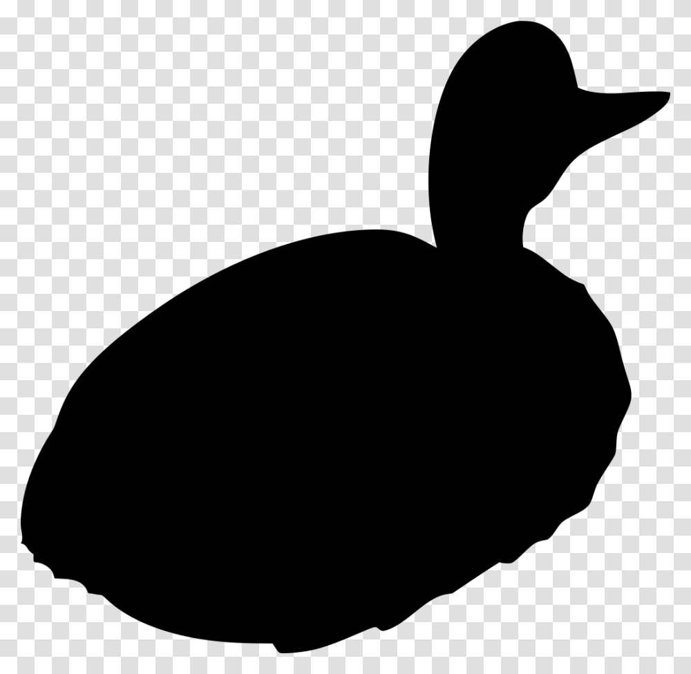 Duck, Gray, World Of Warcraft Transparent Png