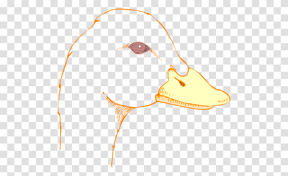 Duck Head Drawing Clip Art, Bird, Animal, Goose, Beak Transparent Png