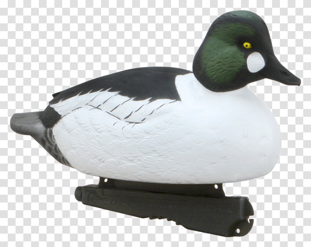 Duck Hunt Dog Download Goldeneye, Bird, Animal, Waterfowl, Anseriformes Transparent Png