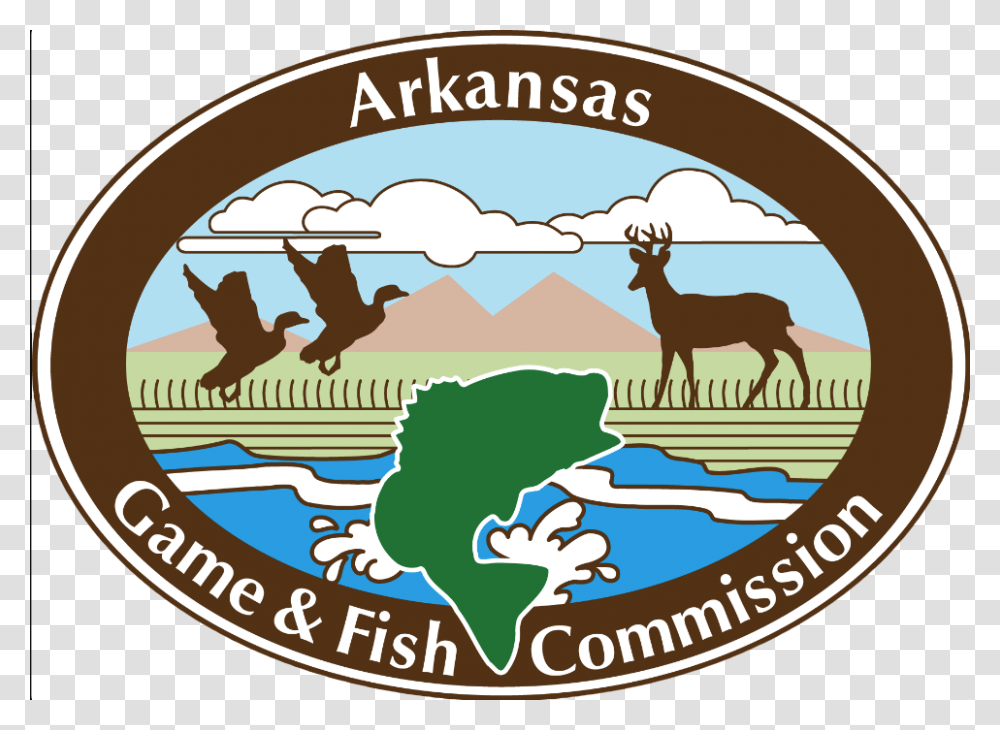 Duck Hunt Duck Arkansas Game And Fish, Antelope, Wildlife, Mammal, Animal Transparent Png
