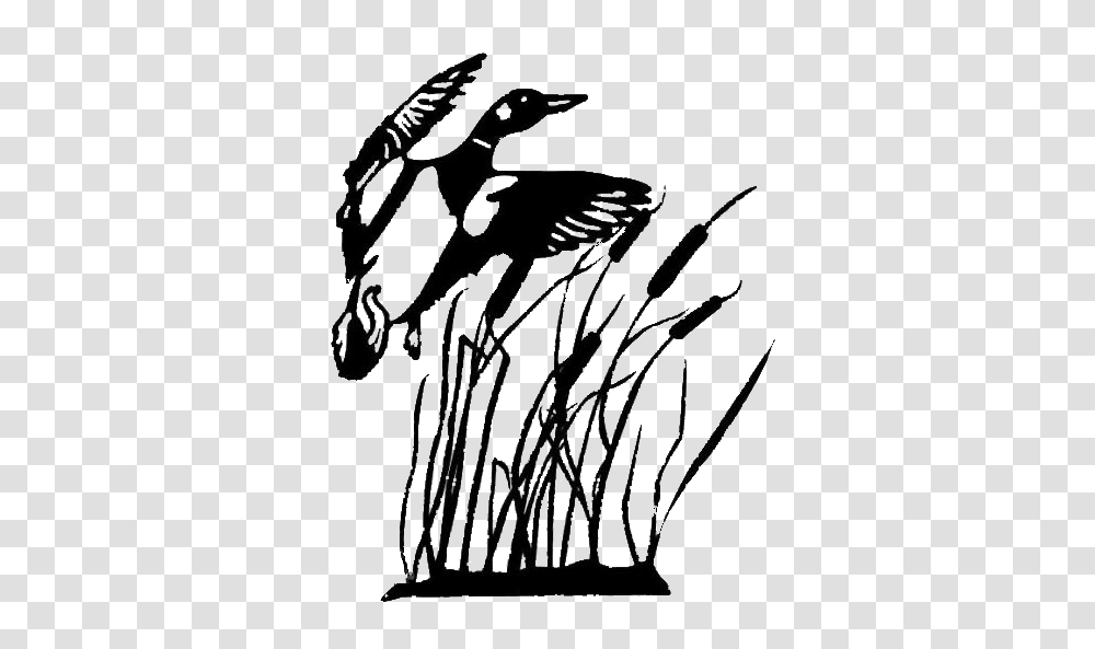 Duck Hunting Silhouette, Stencil, Animal, Bird Transparent Png