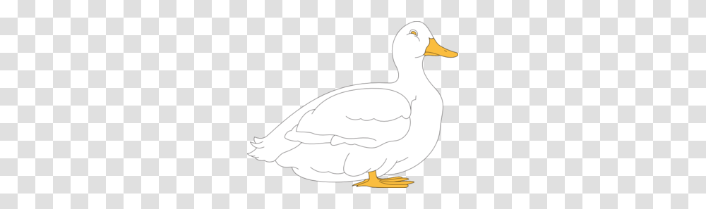 Duck Images Icon Cliparts, Bird, Animal, Goose Transparent Png