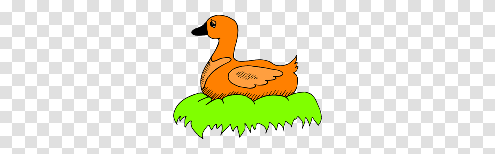 Duck Images Icon Cliparts, Bird, Animal Transparent Png