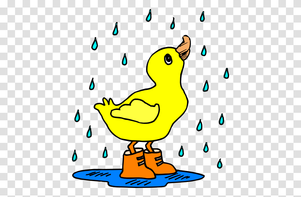 Duck In The Rain Clip Art, Animal, Bird, Poultry, Fowl Transparent Png