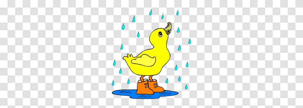Duck In The Rain Clip Art, Bird, Animal, Lighting Transparent Png