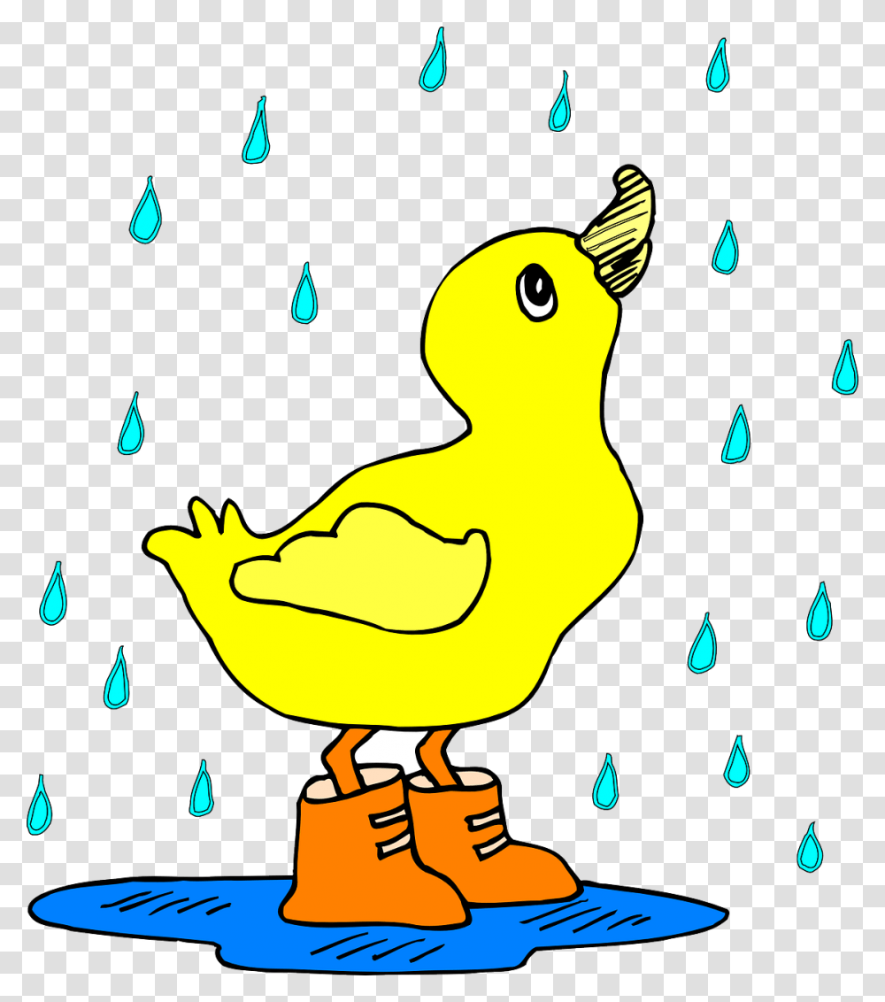 Duck In The Rain Svg Clip Arts Duck In The Rain Cartoon, Animal, Bird, Fowl, Poultry Transparent Png